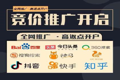 电商平台信息流广告的投放策略与效果评估案例